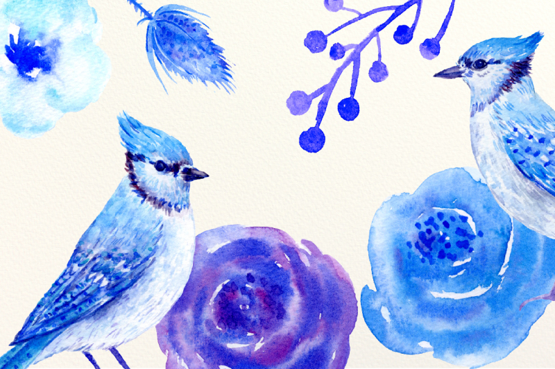 watercolor-clipart-blue-jay