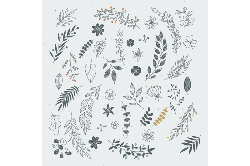 rustic-hand-drawn-ornaments-with-branches-and-leaves-vector-floral-fr