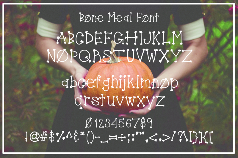 bone-meal-font