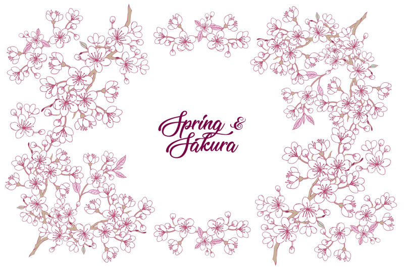 sakura-and-magnolia-clip-art-wedding-flower-floral-sakura-apple-t