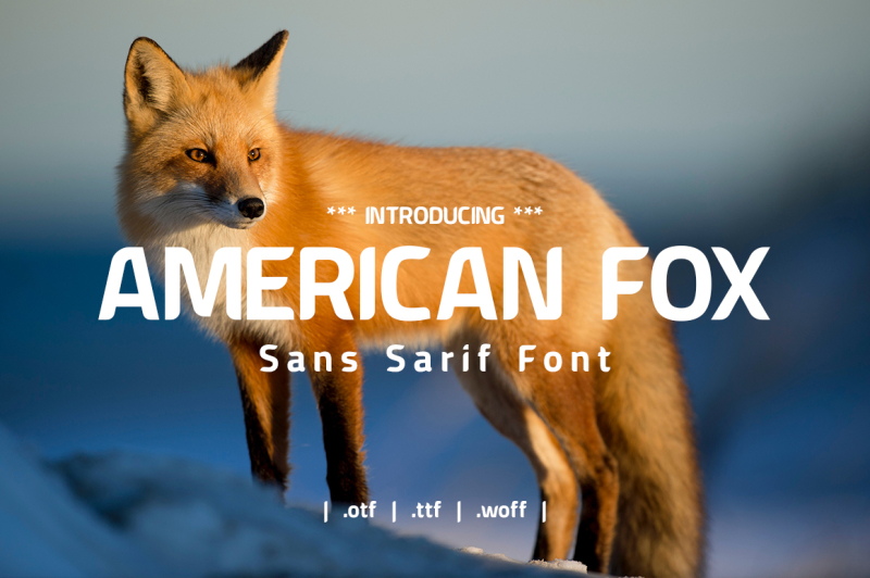 american-fox-font