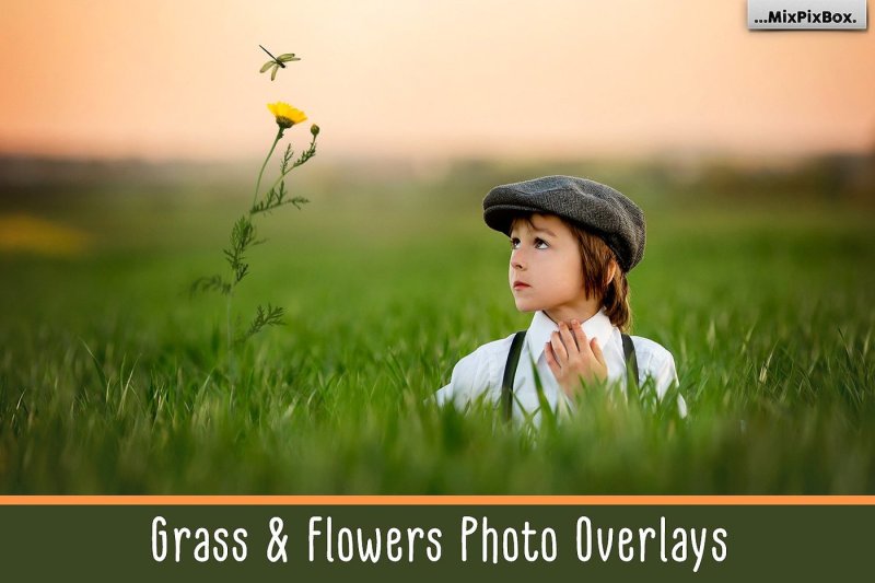 grass-and-flowers-photo-overlays