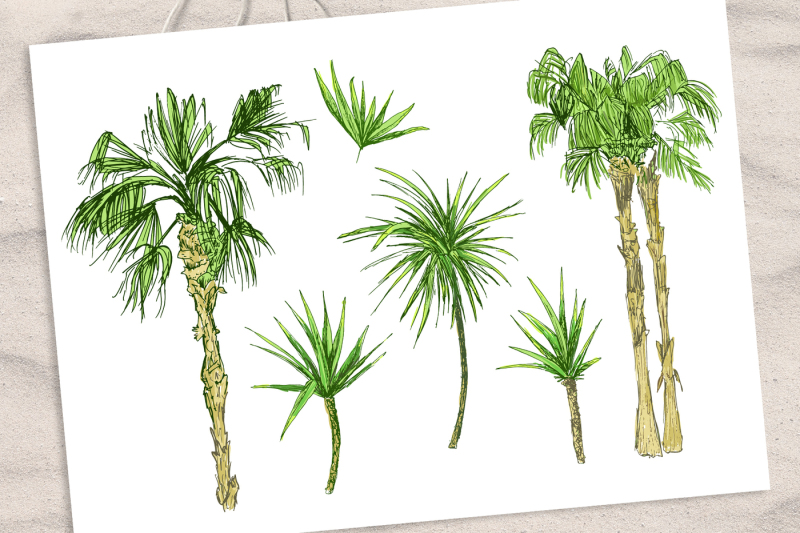 tropicana-palm-trees-amp-leaves-set