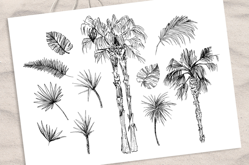 tropicana-palm-trees-amp-leaves-set