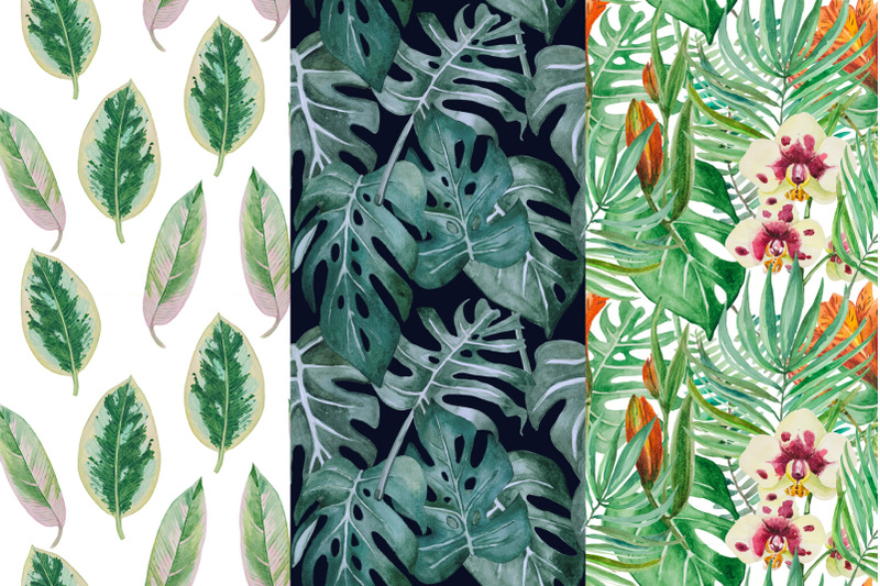 tropical-patterns