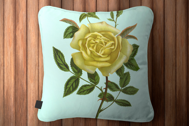 yellow-rose-clipart