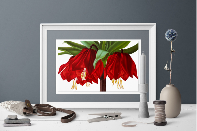 red-flowers-clipart