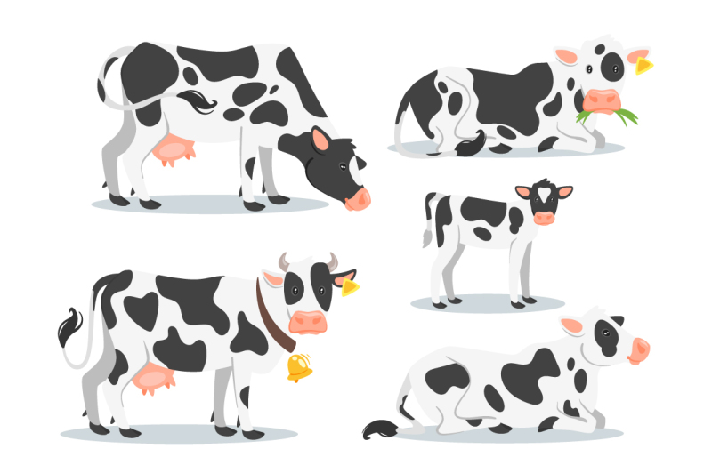 cow-set