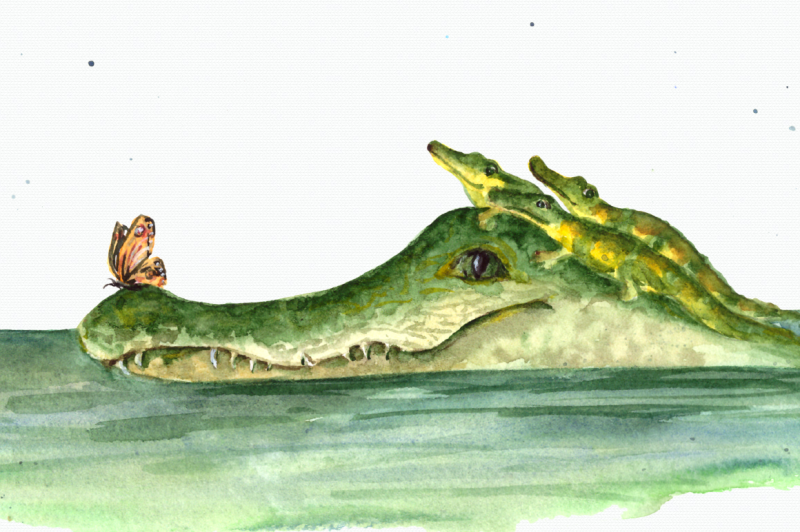 watercolor-mother-and-baby-alligators-clip-art-and-print