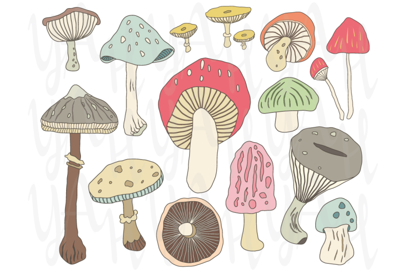hand-draw-mushroom-collections