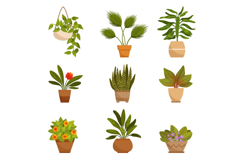 illustrations-set-of-home-decorative-plants