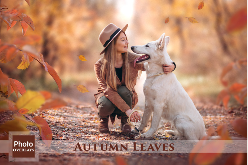 autumn-leaves-overlays