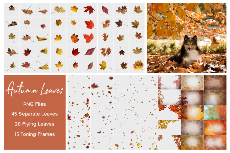 autumn-leaves-overlays