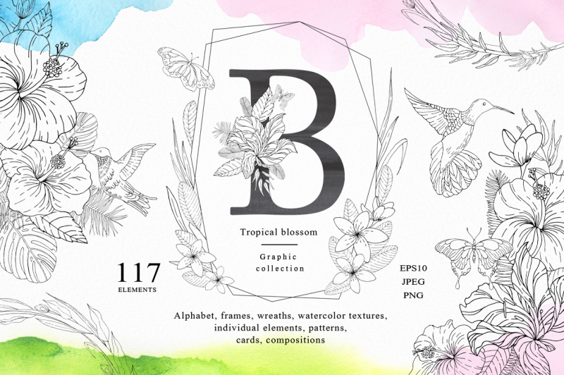 tropical-blossom-graphic-collection