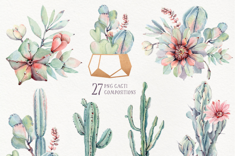 crazy-cacti-watercolor-set