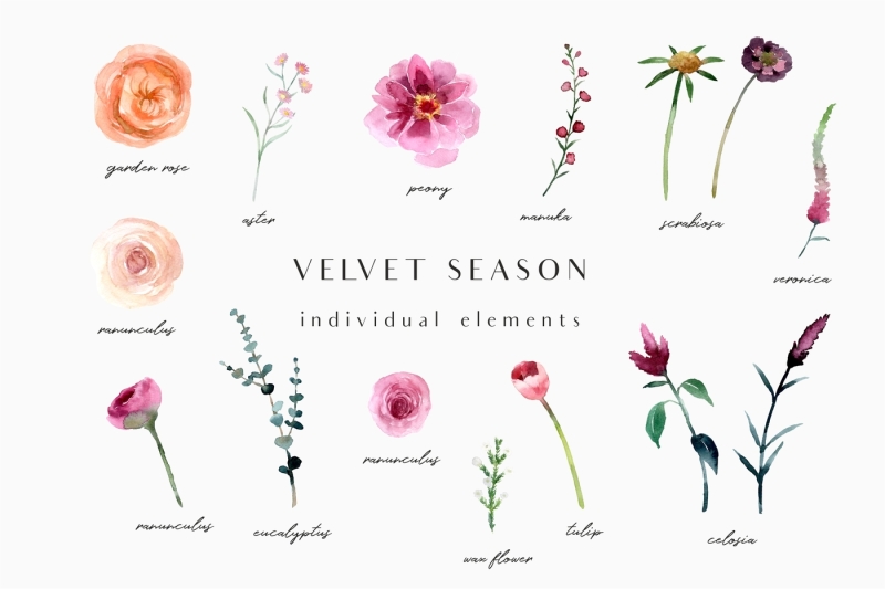 velvet-season-graphic-set