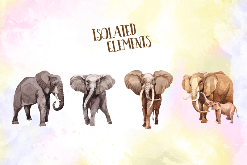 animal-life-elephants-png-watercolor-set