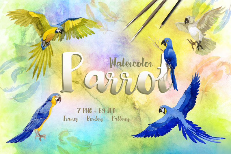 watercolor-cool-parrot-png-bird-set