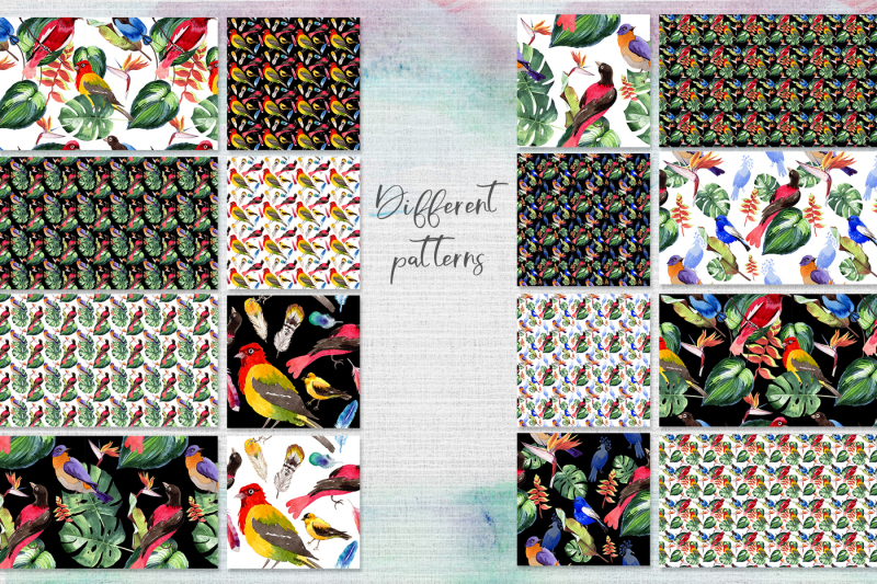 birds-of-paradise-png-watercolor-set