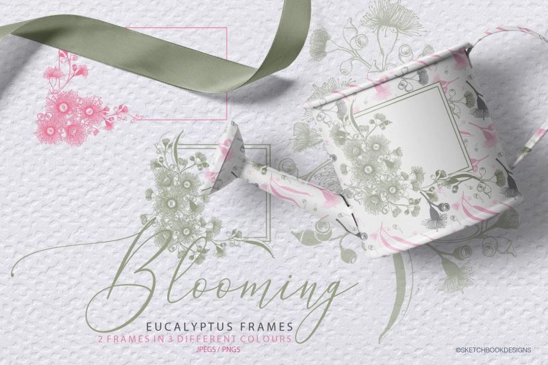blooming-eucalyptus-hand-drawn-set