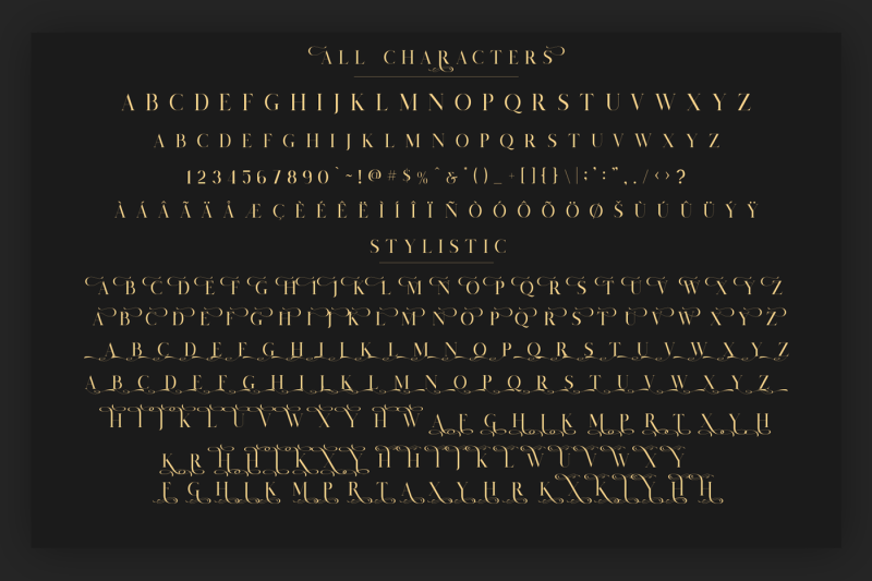 Salvalyn Stylistic Serif Font By Craft Supply Co Thehungryjpeg Com