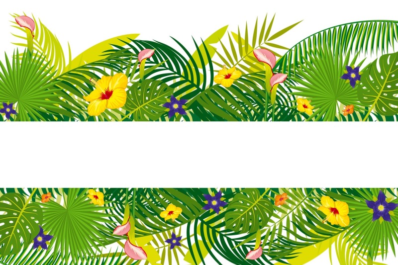 vector-empty-banner-with-tropical-floral-foliage
