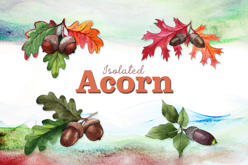 autumn-acorn-leaf-and-plant-png-watercolor-set