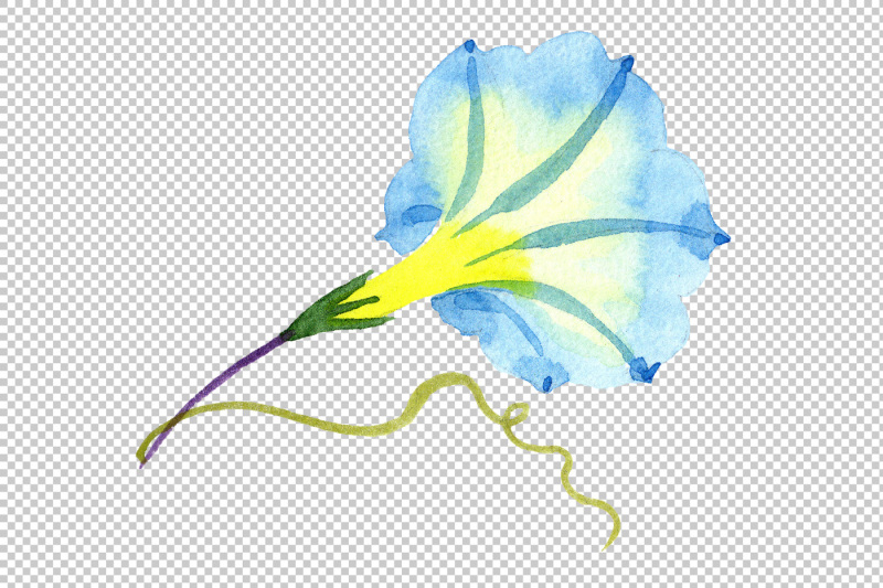 elegant-ipomoea-blue-flower-png-watercolor-set