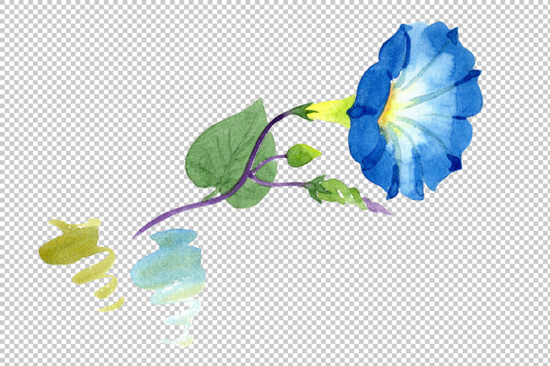 elegant-ipomoea-blue-flower-png-watercolor-set