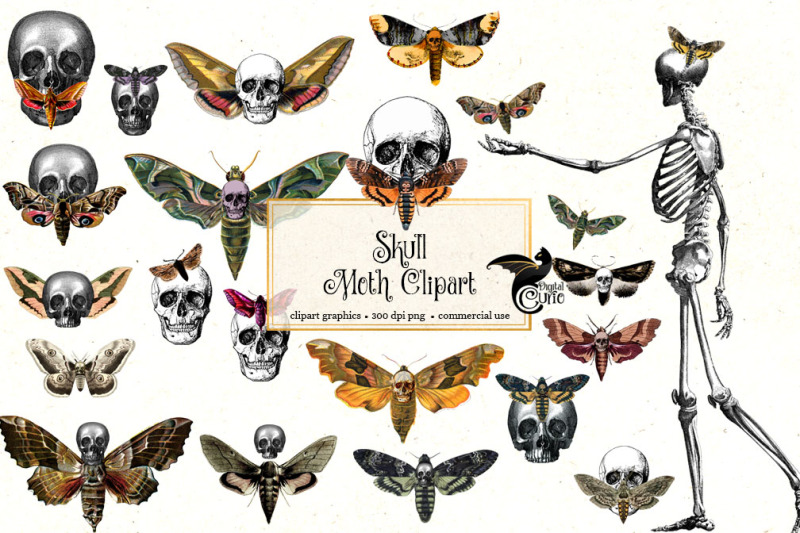 skull-moth-clipart