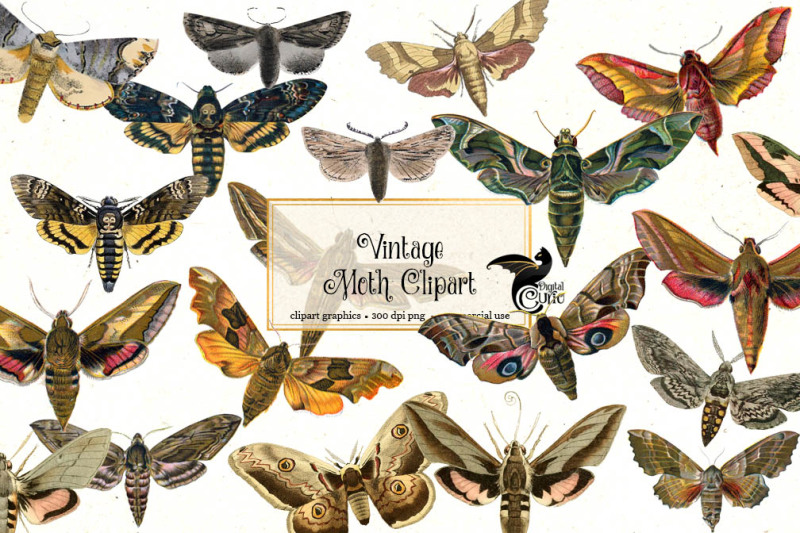 vintage-moth-clipart