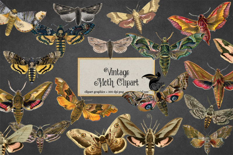 vintage-moth-clipart