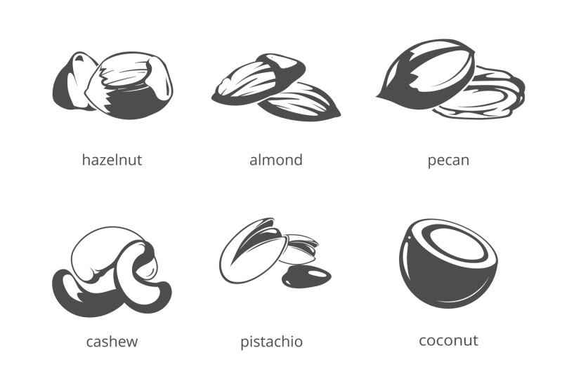 nuts-vector-icon-set