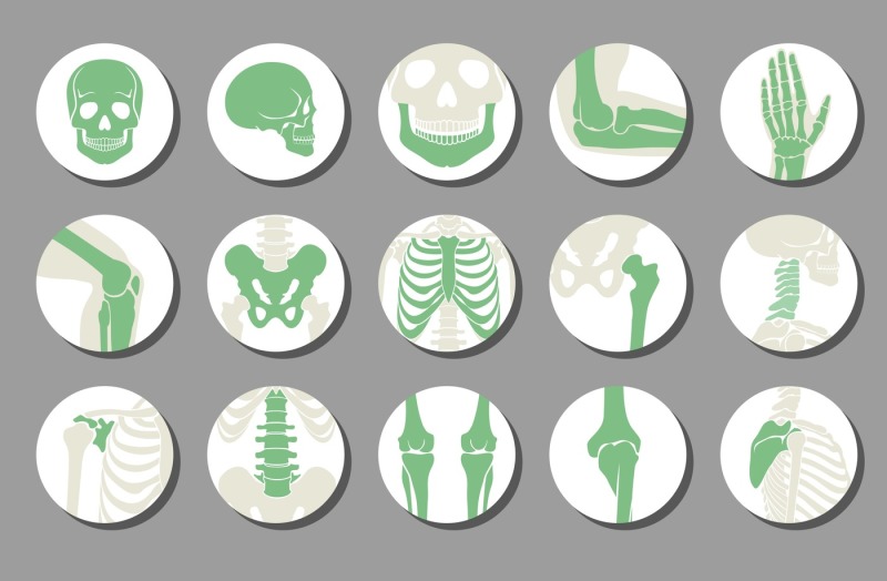 orthopedic-and-spine-vector-icons