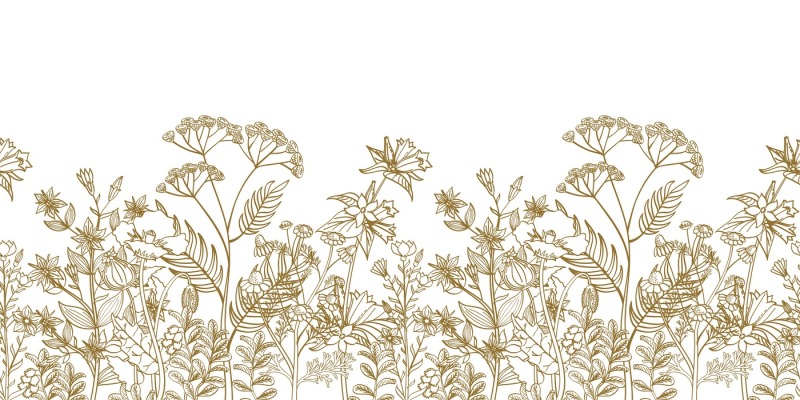 seamless-vector-floral-border-with-black-white-hand-drawn-herbs-and-wi