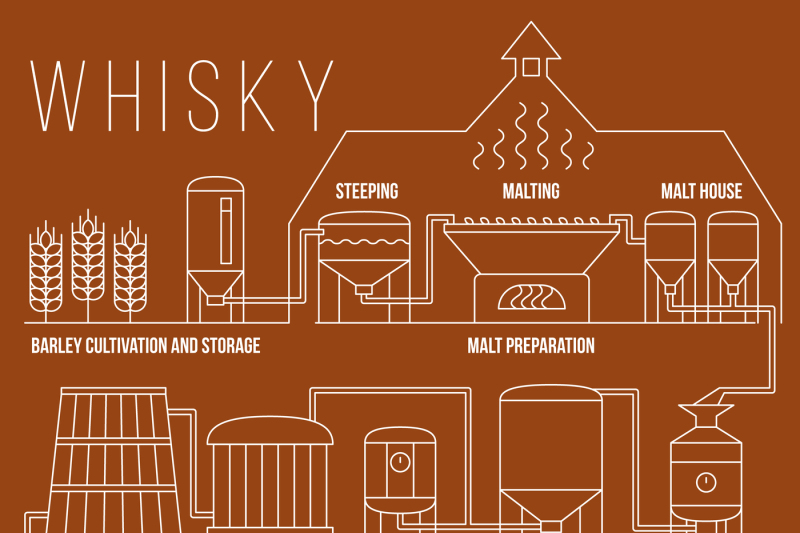 whiskey-production-process-vector-infographic-template