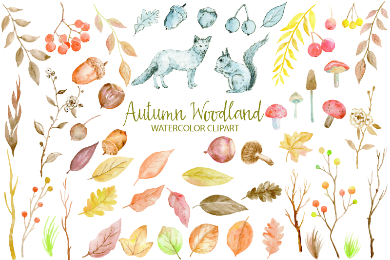 watercolor-clipart-autumn-woodland