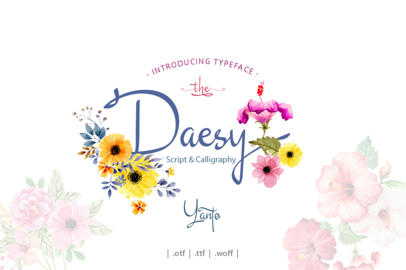 daesy-script-challigrapy-font