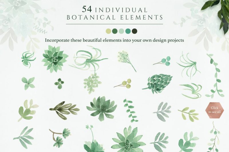 botanist-ii-airplants-amp-succulents-greenery-florals