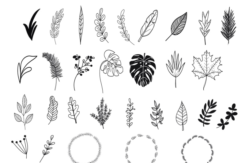 tropical-leaves-stamp-brushes-for-procreate