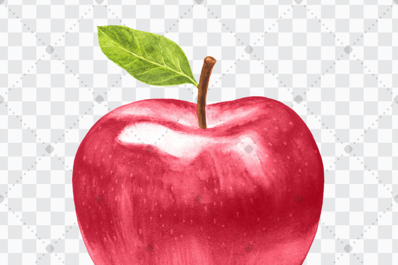 100-shiny-apples-clip-arts-scrapbook-garden-kit-fruit