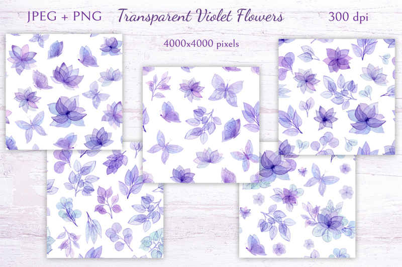 transparent-violet-flowers