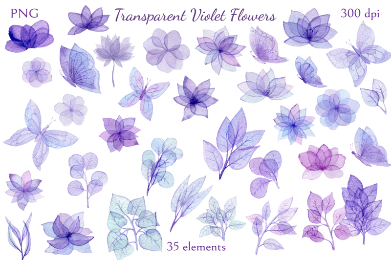 transparent-violet-flowers