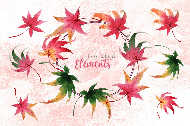 autumn-maple-leaves-png-watercolor-set-nbsp