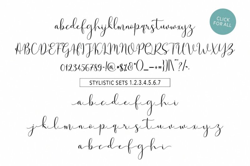 Solidar Script Font Family By Solidtype Thehungryjpeg Com