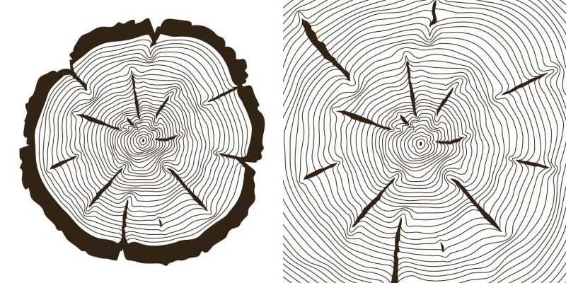 tree-growth-rings-saw-trunk-cuts-vector-illustration