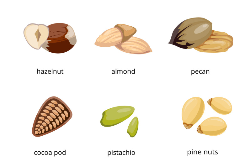 seeds-and-nuts-vector-icons-in-cartoon-style