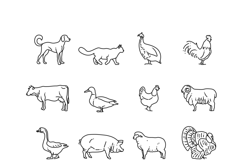 farm-animals-vector-thin-line-icons-set-outline-cow-pig-chicken-ho