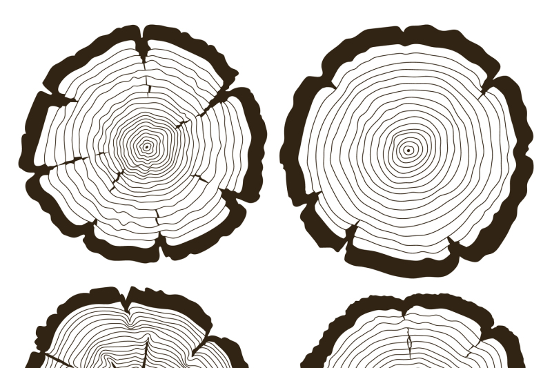 vector-tree-rings-and-saw-cut-trunk-set
