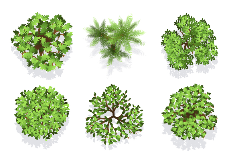 trees-top-view-vector-set-for-landscape-design-and-map